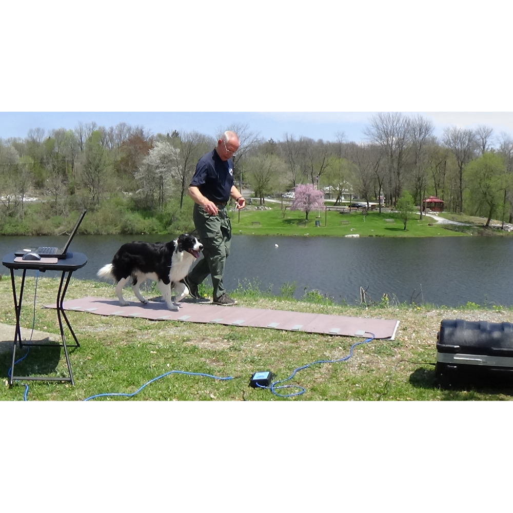 GAIT4
