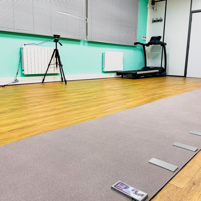 GAITRite Pro