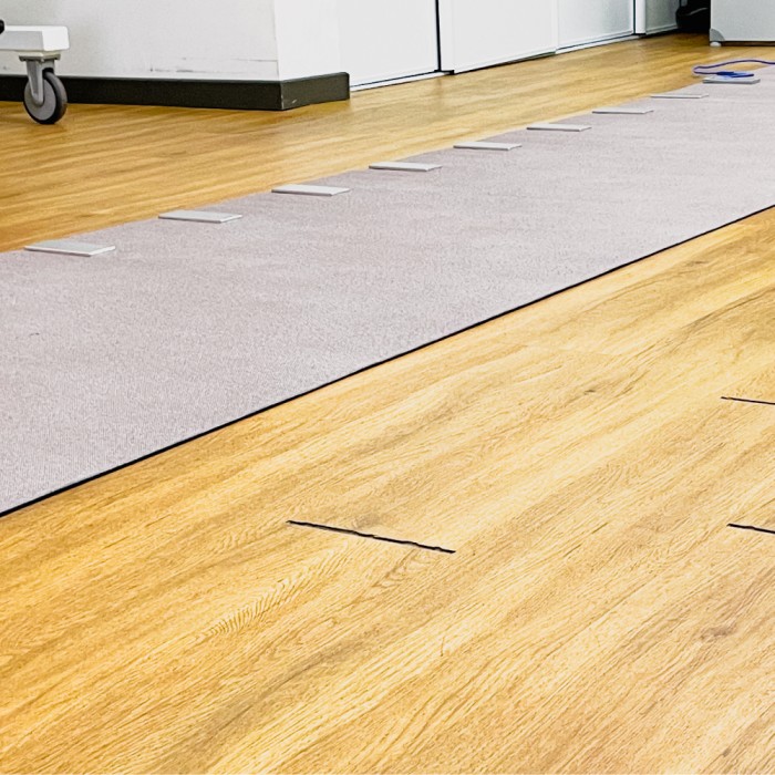 GAITRite Pro