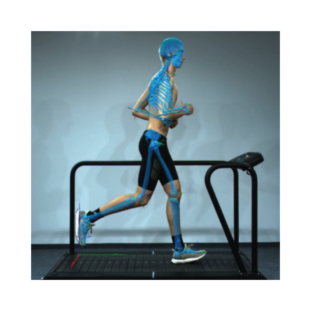 Analyse de mouvement sans marqueur templo® 3d